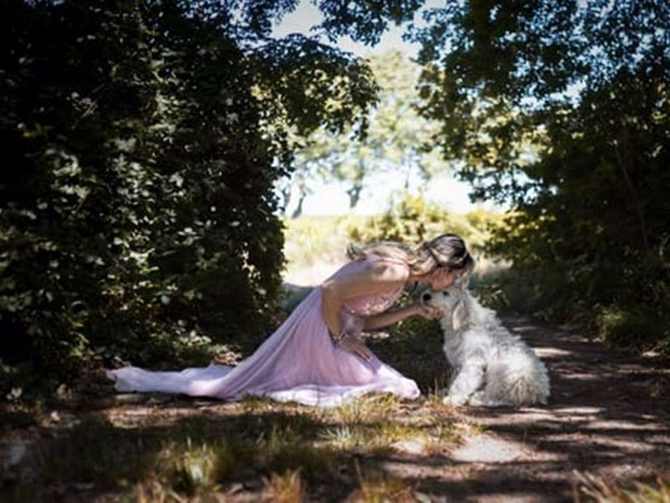 Elevage de Goldendoodle, Aude, France